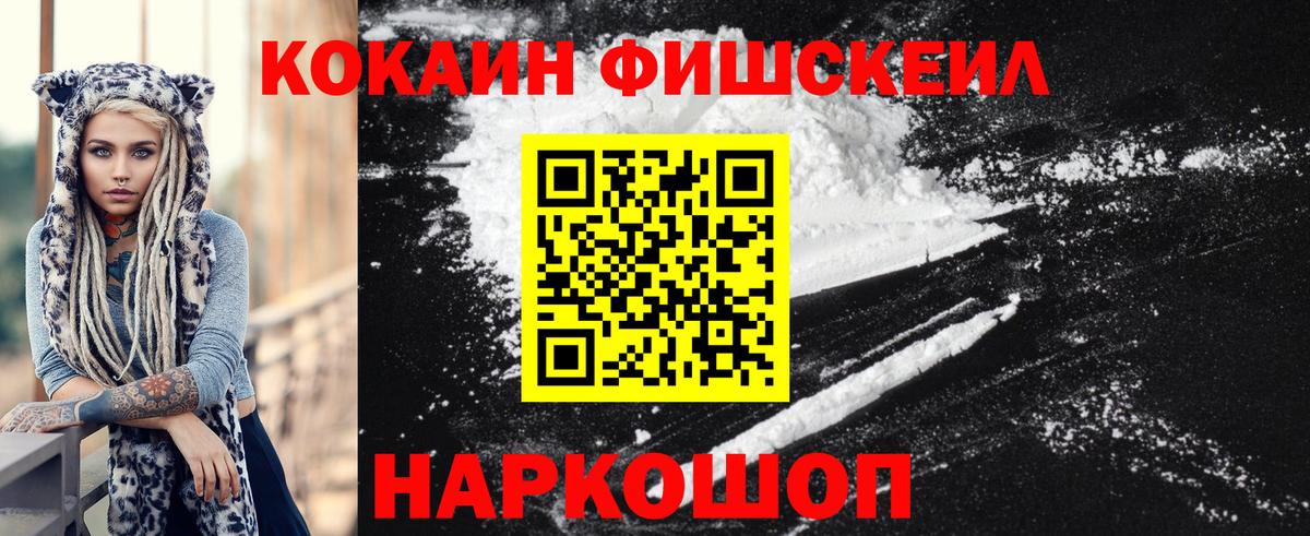 Cocaine FishScale  где купить наркотик  Шадринск  Вход с VPN 